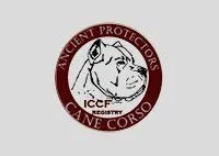 ICCF Ancient Protectors Cane Corso registry logo